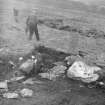 Calder excavations c1953