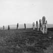 View of stone circle.