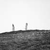 Whiteleen, Loch of Yarrows, standing stones.