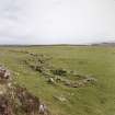 Sanday, Greod. View of township and cultivation remains from SW.