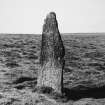 Auskerry. Standing stone from SE 