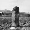 General view of standing stone from E. In the background can be seen a pair of wooden outbuildings and post-and-rail fencing.
Original print bears annotation: 'No.1. Standing Stone by Road from Tarradale to Beauly. Taken in forenoon April 1895. The "Dog's" stone lies 19ft. S. or S.W. of it A.F.Yule".