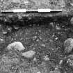 Balloan excavation archive
Area I: F1003, half-section of feature.