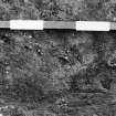 Balloan excavation archive
Area II: Fragment of shale bracelet in situ. From S.