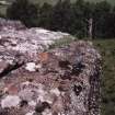 Milton: view of cup-marked boulder.