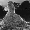 General view of Pictish stone bearing what may be parts of a flower symbol and another of uncertain identity.