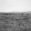 The recumbent stone circle from the SW