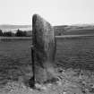 The NW side of the cup-marked standing stone