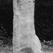 View of inscribed stone, showing inscription on face, and ogham inscription along edge.
