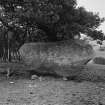 The rear of the recumbent stone from the N