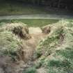 Detail of erosion scar on SE side of mound