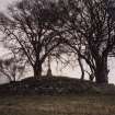 View of cairn from SSW