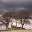 View of cairn from E