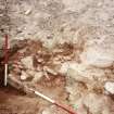 Excavation photograph : wall 12, looking west from back of no.13.