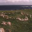 Muck, Caisteal an Duin Bhain. Buildings. View from SE.