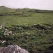 Muck, Blar na Fionn-aird. Farmstead and pen. Detail of building (NM 41326 79278). View from N.