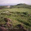 Muck, Blar na Fionn-aird. Farmstead and pen. View from N.