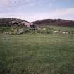 Muck, Blar na Fionn-aird. Farmstead and pen. View from S.