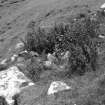 Muck, Sean Bhaile. Township. Detail of kiln from NW (NM 4209 7959).