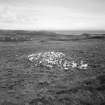 Muck, Fionn-aird. Hut (NM 4165 7869), pen and lazy beds. View from W.