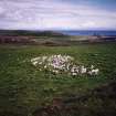 Muck, Fionn-aird. Hut (NM 4165 7869), pen and lazy beds. View from W.