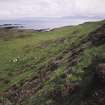 Muck, Fionn-aird. Huts and lazy beds. View from NNW.