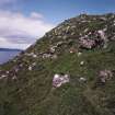 Eigg, Poll Duchaill, Fort. View from S of fragment of W wall.