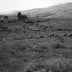 Excavation photograph : deserted cluster on east Lix (EL/I) with byre-dwelling D in centre.