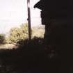 View of late 19th century croft building with modified gable (NMRS MS 1039/97, no.1c) from W.