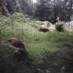 Inverar Lodge 