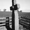 View of cross from SW.