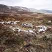 Chest of Dee, shieling-hut (Mar93 343), Mar Lodge condition survey 1996