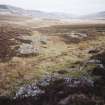 Chest of Dee, shieling-huts (Mar93 344-8), Mar Lodge condition survey 1996