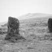 Broughdearg. 
View of standing stones.