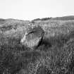 General view of Caldhame Standing Stone.