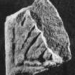 Cross-slab fragment, Kirriemuir no.16.