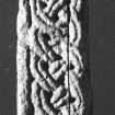 View of edge of cast of cross-slab Kirriemuir no.3., at Pictavia, Brechin.