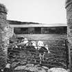 Kilchiaran Farm, Kilchiaran.
View of gate of central segmented courtyard.