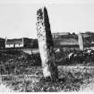 Colonsay, Lower Kilchattan, 'Fingal's Limpet Hammers', general view of standing stones.
Modern copy of historic photograph, inscribed 'Pillar stones at Kilchattan, Colonsay'.