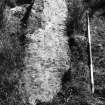 RCAHMS