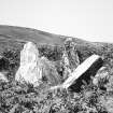Gort na h-Ulaidhe. 1st transverse cist from SW.
