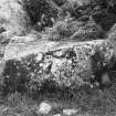 Barnakill rock carvings, general view of boulder