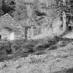 General view of limekiln, Inveraray, Estate.