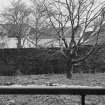 General view from 'The Avenue', South Main Street, Inveraray.