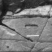 Rock carvings - N. footprint. With scale.