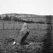 General view of standing stone.