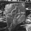 Bute, Inchmarnock, Remains of Chapel.
Early christian cross-slab TB4, no.8, in situ.