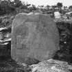 Bute, Inchmarnock, Remains of Chapel.
Fragment of early christian cross-slab. TB7, no.7, in situ.