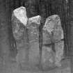 Kingarth standing stones. Central stone from W.