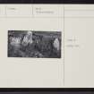 On-line Digital Images